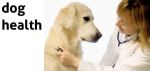 Dog health, Pet Care, Dog Care, Dog Products, Pet Accessories, Wholesale Pet Supplies, Pet Store Online, Online Pet Store India, Pet Shop, Pet shop Online, Pet Care Products