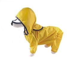 dog raincoats,Monsoon products for Dog,Pets Monsoon products,pets clothes, Dog care in rain,pet accessories online in India,Indian dog shop,pet store india,pet shop in India,Dog accessories in India,Dog products,pet products online,best pet food,best pet store india,Dog shop online india,cheapest dog store india