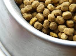 food for Dogs, Online Food For Dogs, Indian Pet Store, pet Store India, Dog Food Online, food for Dogs India, Pet food Online India, Pet Shop India